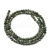 Natural Seraphinite Beads Strands G-K376-A02-3mm-3