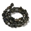 Natural Larvikite Beads Strands G-P497-01E-85-3