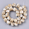 Natural Trochid Shell/Trochus Shell Beads Strands SSHEL-N032-01-2