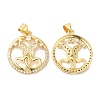Brass Micro Pave Clear Cubic Zirconia Pendants ZIRC-L103-037G-1