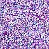 Two Tone Baking Paint Glass Seed Beads SEED-C003-01K-3