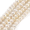 Natural Cultured Freshwater Pearl Beads Strands PEAR-C003-07C-2