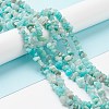 Natural Exotic Amazonite Chips Beads Strands F070-1-4