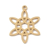 304 Stainless Steel Pendants STAS-B062-03G-1