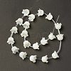 Natural Trochid Shell/Trochus Shell Bead Caps BSHE-B005-03-2