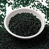 MIYUKI Round Rocailles Beads SEED-X0055-RR0156F-2