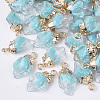 Resin Pendants LS-X-RESI-S383-022C-1