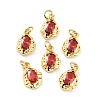Brass Micro Pave Cubic Zirconia Pendant ZIRC-P089-19G-F-1