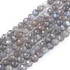 Natural Labradorite Beads Strands X-G-R475-025C-1