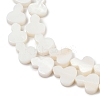 Natural Freshwater Shell Beads Strands SHEL-K010-02B-3