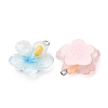 Transparent Resin Pendants RE-CBA5F64-01-2