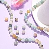 Natural Flower Amazonite Beads X-Z26N5017-4