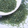 MIYUKI Delica Beads SEED-JP0008-DB1247-4