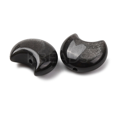 Natural Silver Sheen Obsidian Beads G-Z156-A01-1