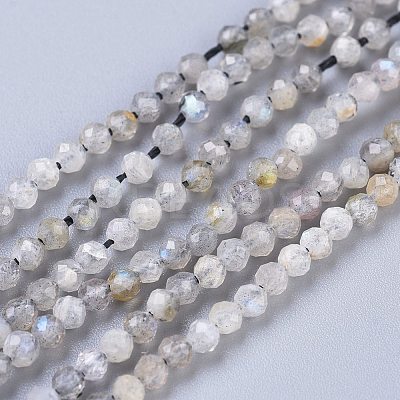 Natural Labradorite Beads Strands X-G-R475-025A-1