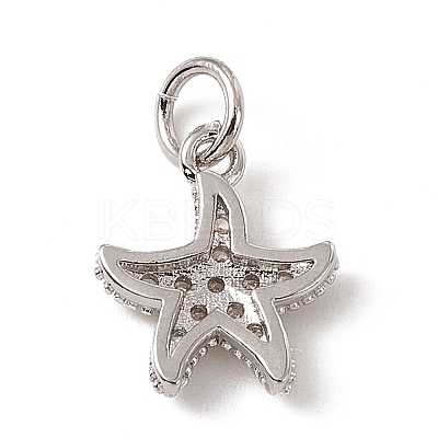 Brass Micro Pave Cubic Zirconia Charms ZIRC-F132-13P-1