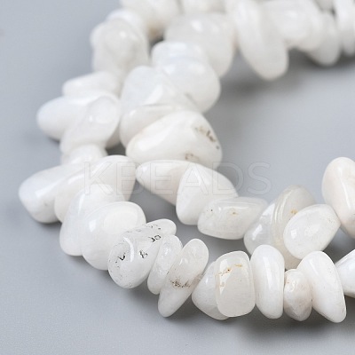Natural White Moonstone Beads Strands X-G-P332-01-1