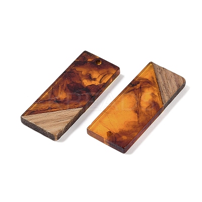 Resin & Wood Pendants WOOD-F015-09A-1