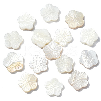 30Pcs Natural Freshwater Shell Beads Strands SHEL-CJ0001-30-1