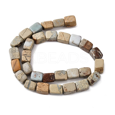 Natural Shoushan Stone Beads Strands G-D098-D05-1