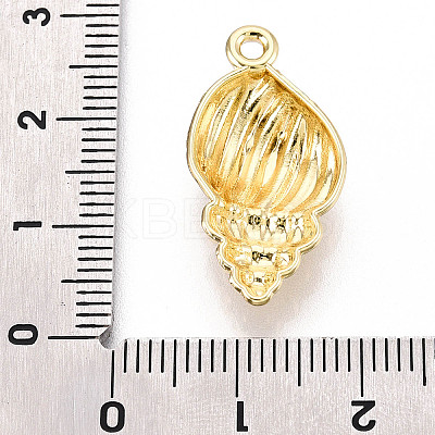 Alloy Pendants FIND-N010-08G-1