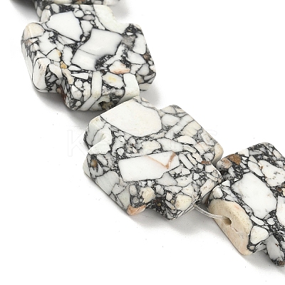 Dyed Synthetic Turquoise Beads Strands G-M448-A01-02-1