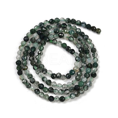 Natural Moss Agate Beads Strands G-A129-3mm-01-1
