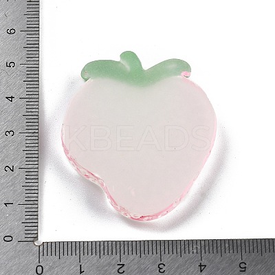 Luminous Resin Fruit Slice Display Decoration DJEW-B014-04-1