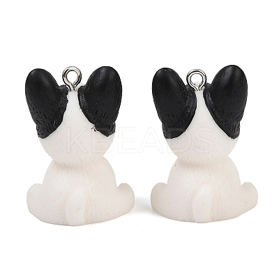 Opaque Resin Pendants RESI-XCP0002-36-1