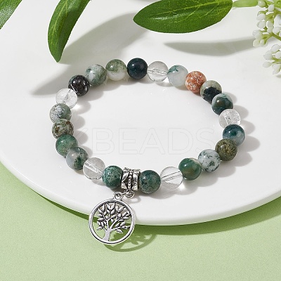 Natural Tree Agate Round Bead Stretch Bracelets BJEW-JB09872-01-1