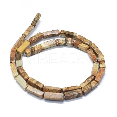 Natural Picture Jasper Beads Strands G-F631-E07-1