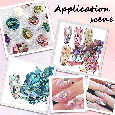12 Colors Shell Chips Nail Art Decorations Accessories DIY-WH20002-669-1