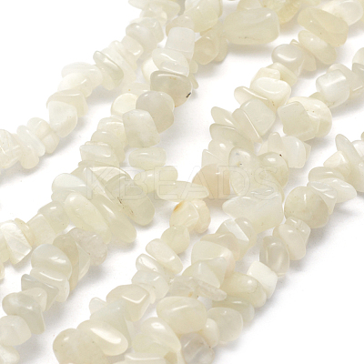 Natural White Moonstone Beads Strands X-G-P332-01-1
