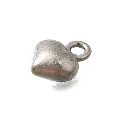 304 Stainless Steel Charms STAS-D310-06P-03-1