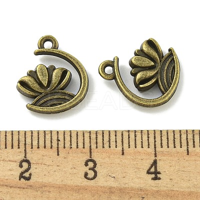Tibetan Style Alloy Pendants TIBE-I026-6025AB-1
