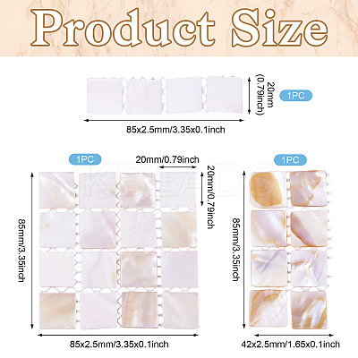 3Pcs 3 Styles Natural Shell Nail Art Display Board ODIS-TA0001-04-1