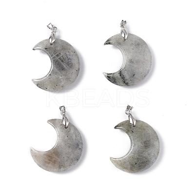 Natural Labradorite Pendants G-Z022-04L-1