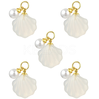 5Pcs Natural Agate Shell Shaped Pendants G-YW0002-43-1