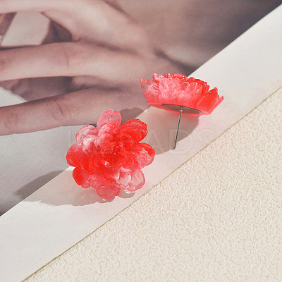 Resin Stud Earrings for Women WV5243-1