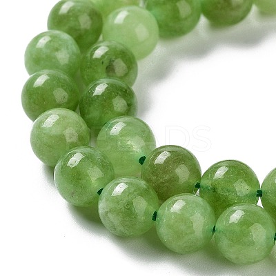 Dyed Natural Malaysia Jade Beads Strands G-G021-02B-04-1
