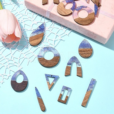 18Pcs 9 Styles Transparent Resin & Walnut Wood Pendants RESI-FS0001-78-1