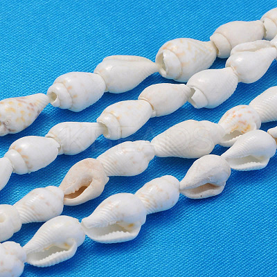 Natural Trumpet Shell Beads Strands X-S02KI011-1