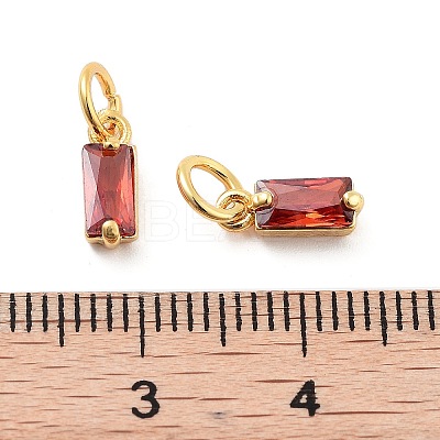 Brass Micro Pave Cubic Zirconia Charms ZIRC-F111-03G-10-1