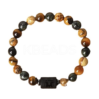 12 Constellations Natural Tiger Eye & Picture Jasper Round Beaded Stretch Bracelets for Men Women WG21EC3-09-1