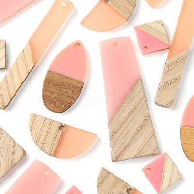 20Pcs 5 Style Resin & Wood Semi Circle Pendants RESI-LS0001-45-1