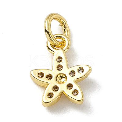 Brass Micro Pave Cubic Zirconia Charms ZIRC-F132-99G-1