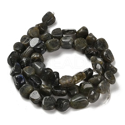 Natural Larvikite Beads Strands G-P497-01E-85-1