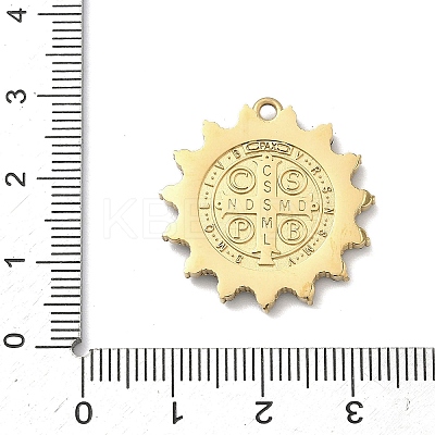 304 Stainless Steel & Rhinestone Pendants STAS-G371-09A-02G-1