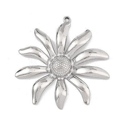 304 Stainless Steel Pendants SA-B006-02P-A-1