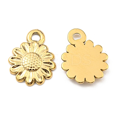 304 Stainless Steel Charms STAS-R124-01G-1
